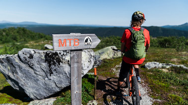 Bild för: Fjällpass Aktivitet